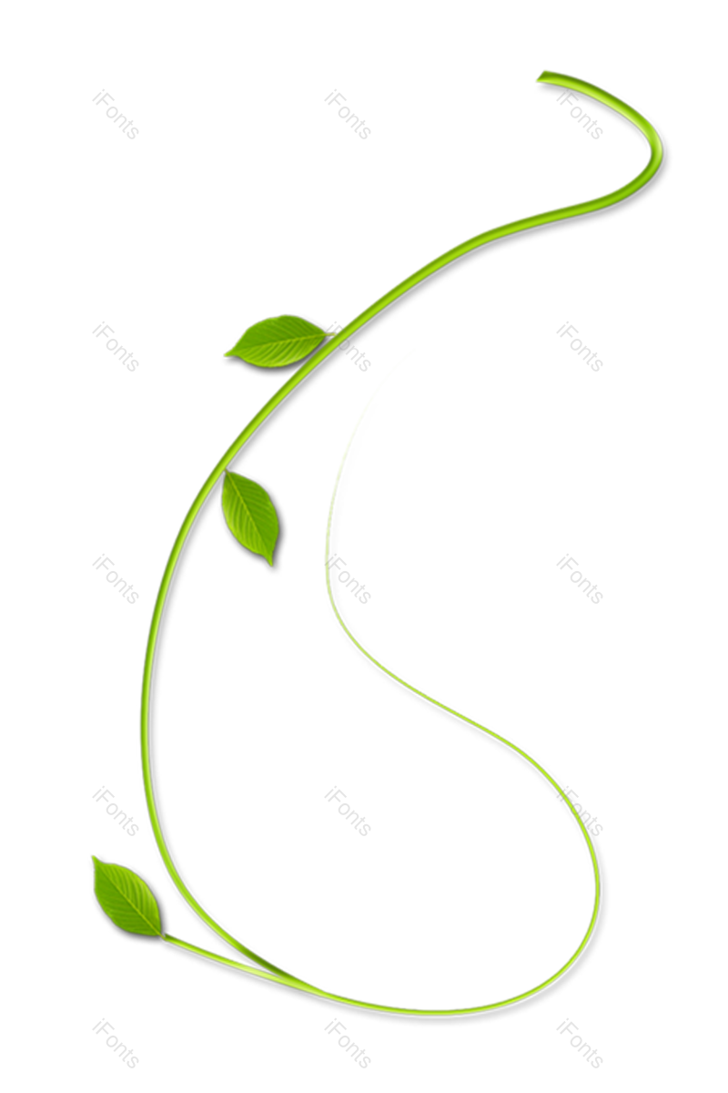 叶子图片,绿叶元素,树叶PNG,花草装饰免抠素材